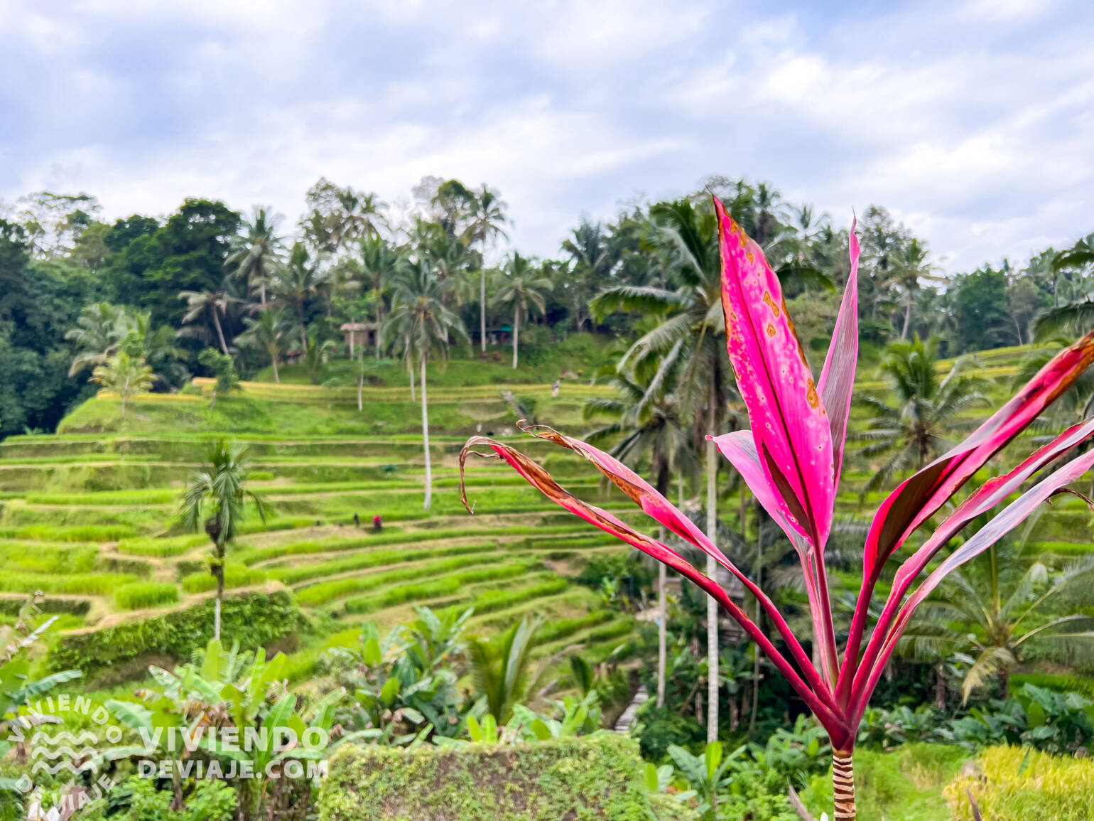 Alojamientos en Nusa Dua recomendados