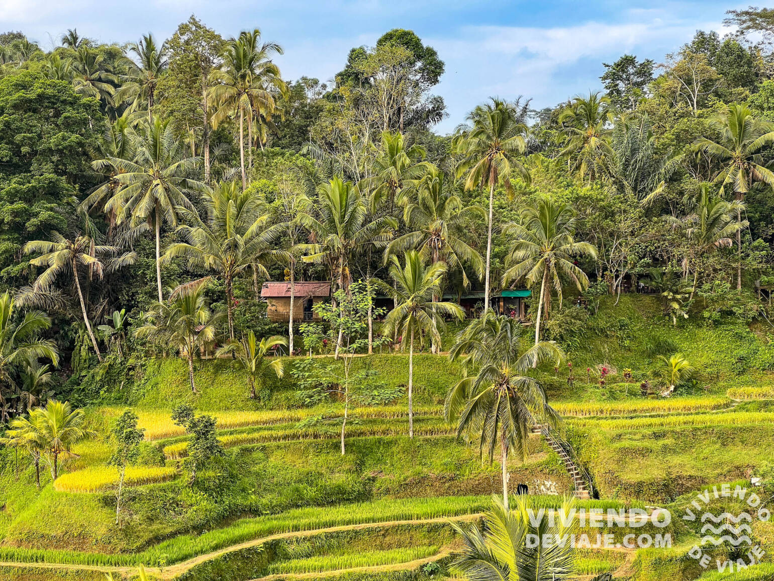 Consejo para viajar a Bali nº20: Mejor época para visitar la isla