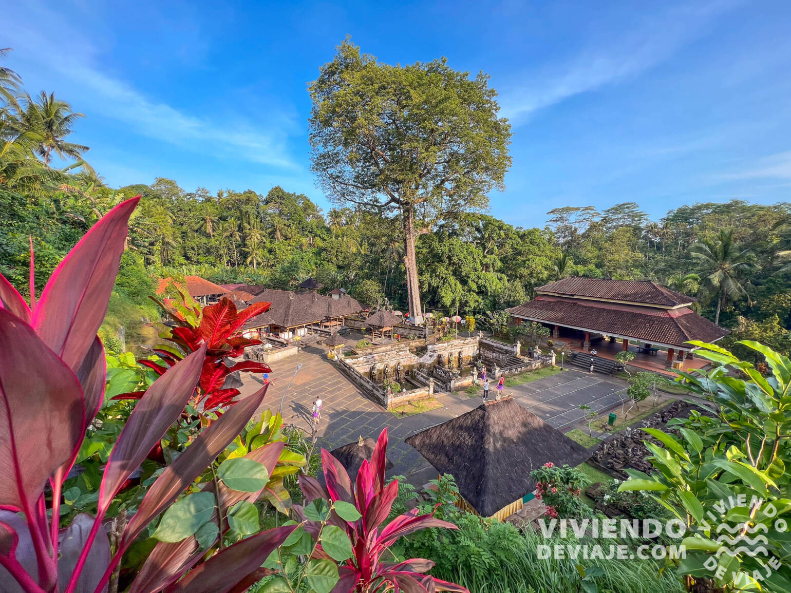 Excursiones en Bali