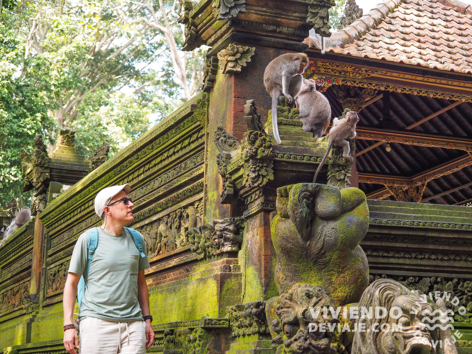 Monkey Forest | Bali en 10 días