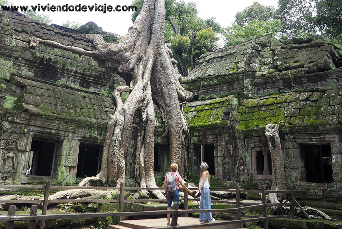 Visitar los Templos de Angkor, Ta Prohm