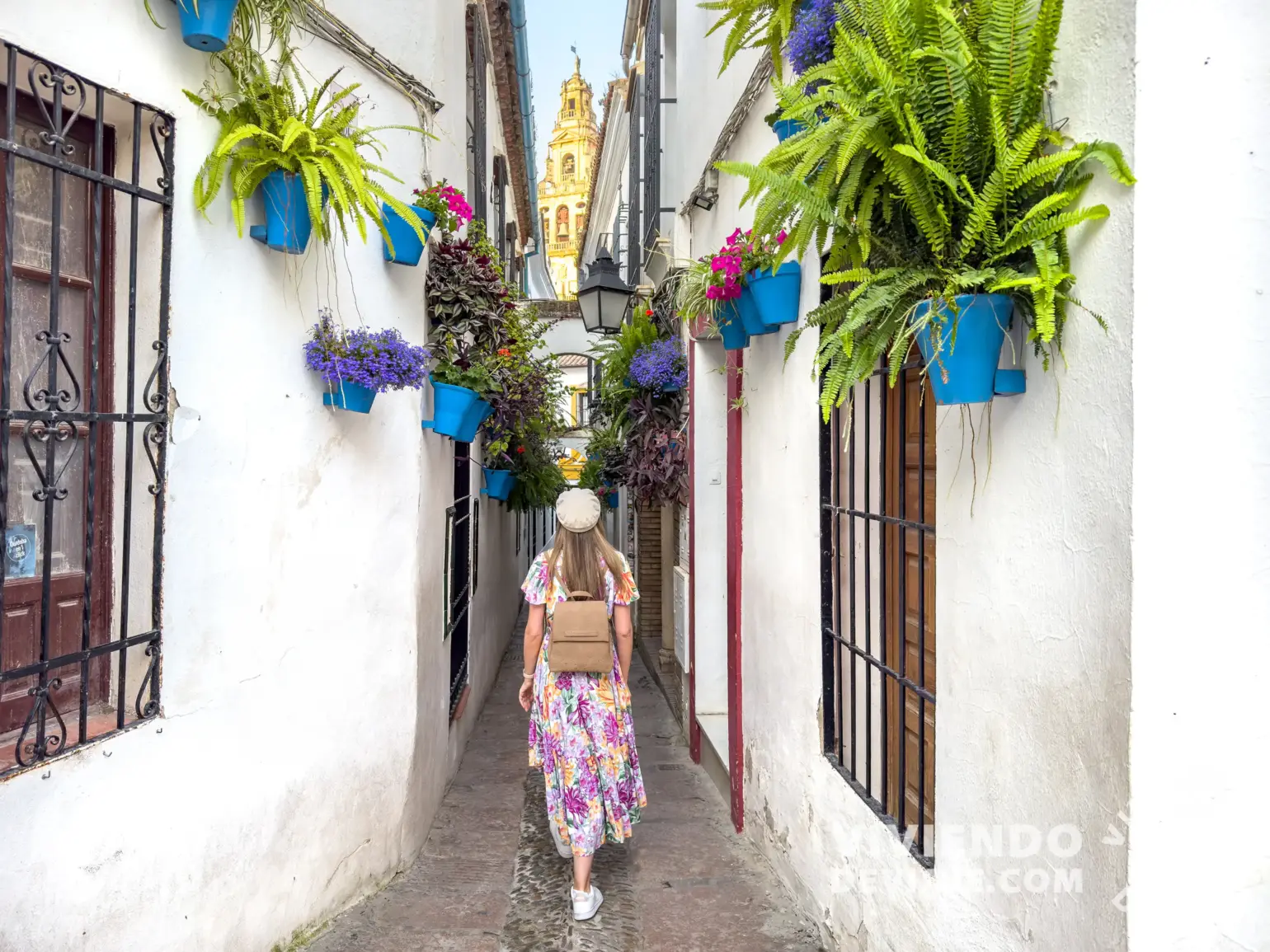 Calleja de las Flores en la Judería | La mejor zona donde alojarse en Córdoba