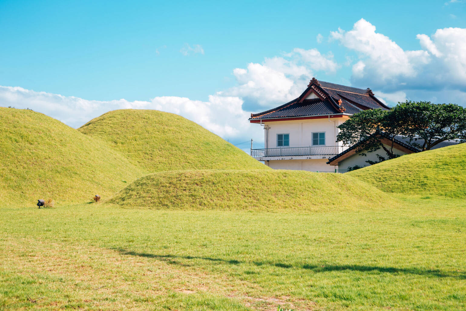 Excursión a Gyeongju desde Busán