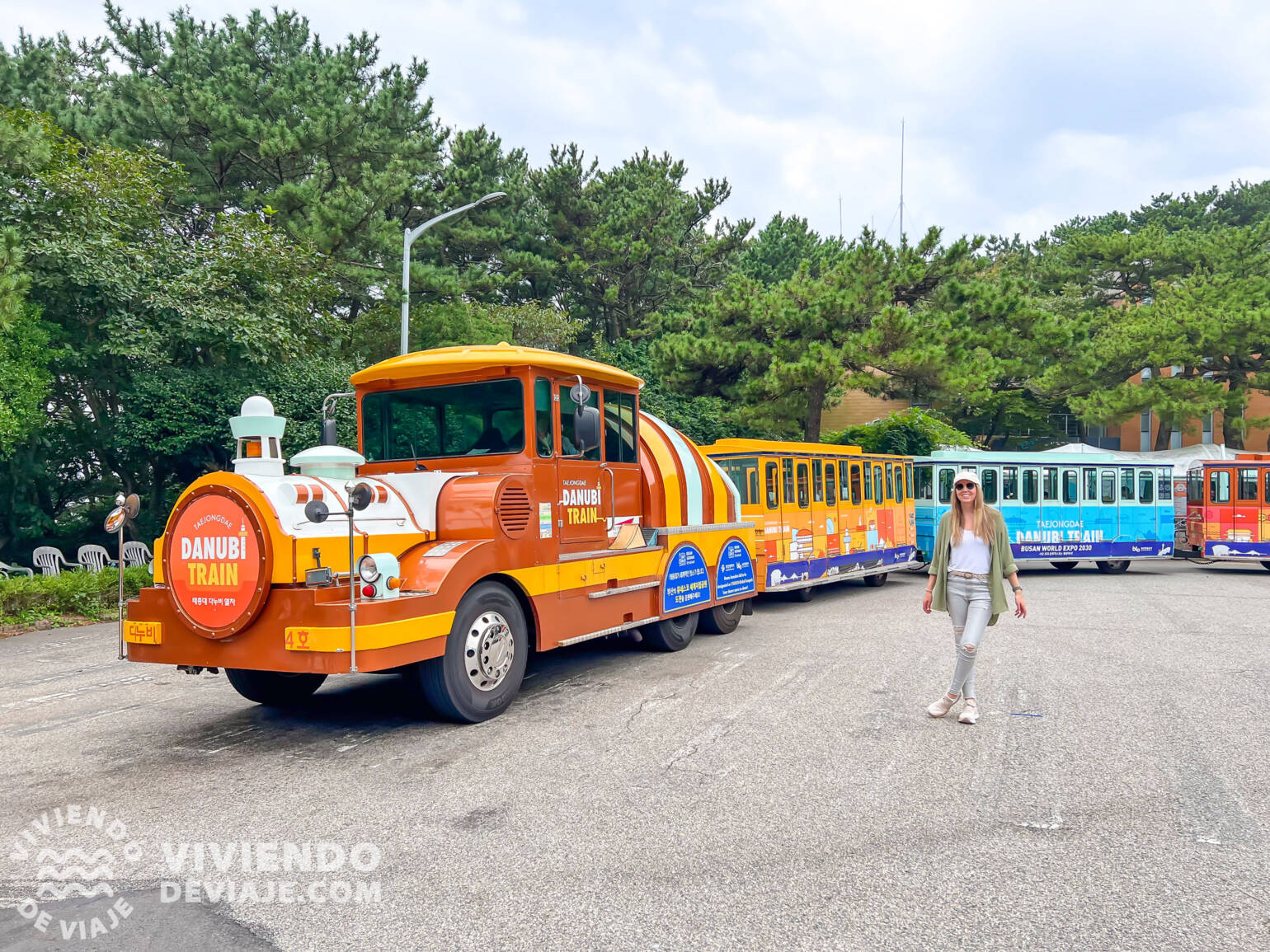 Taejongdae Danubi Train