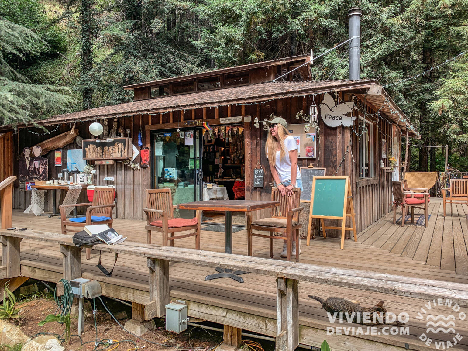 Ruta de Los Angeles a San Francisco por el Big Sur - Henry Miller Library