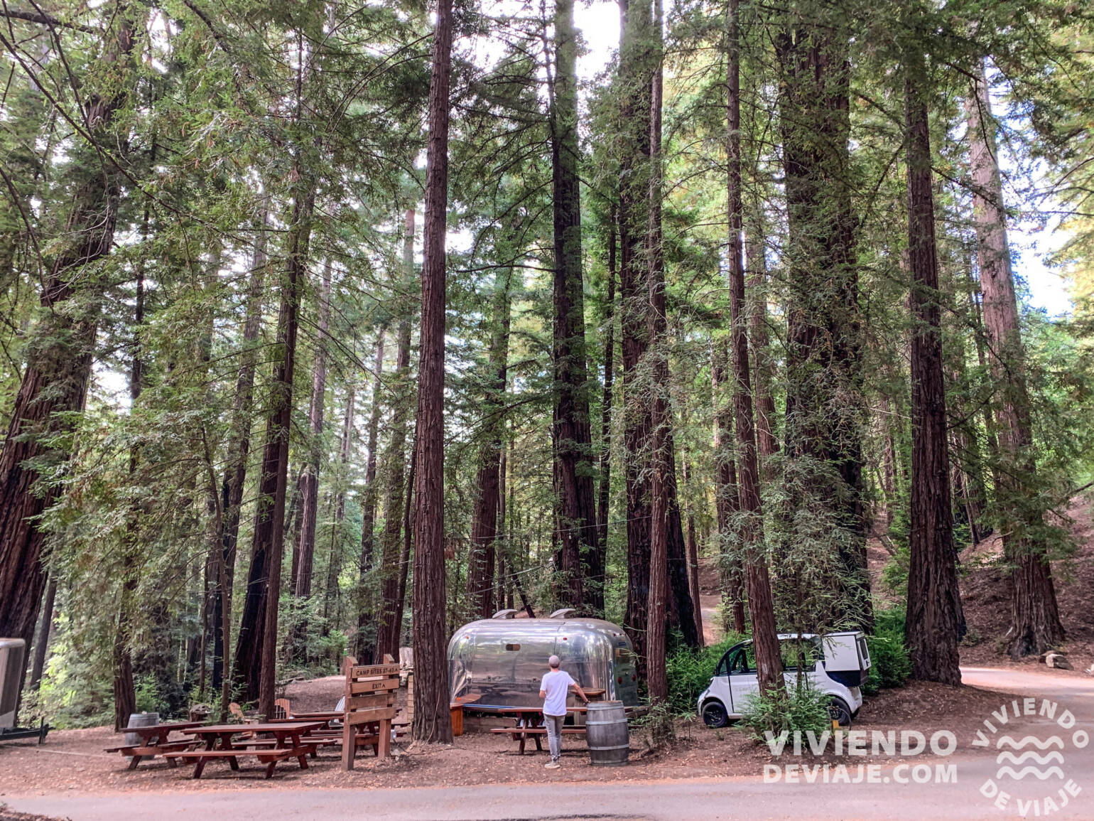Ruta por el Big Sur - Ventana