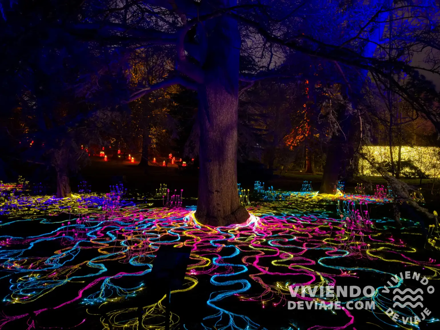 Christmas at the Botanics | Edimburgo en Navidad