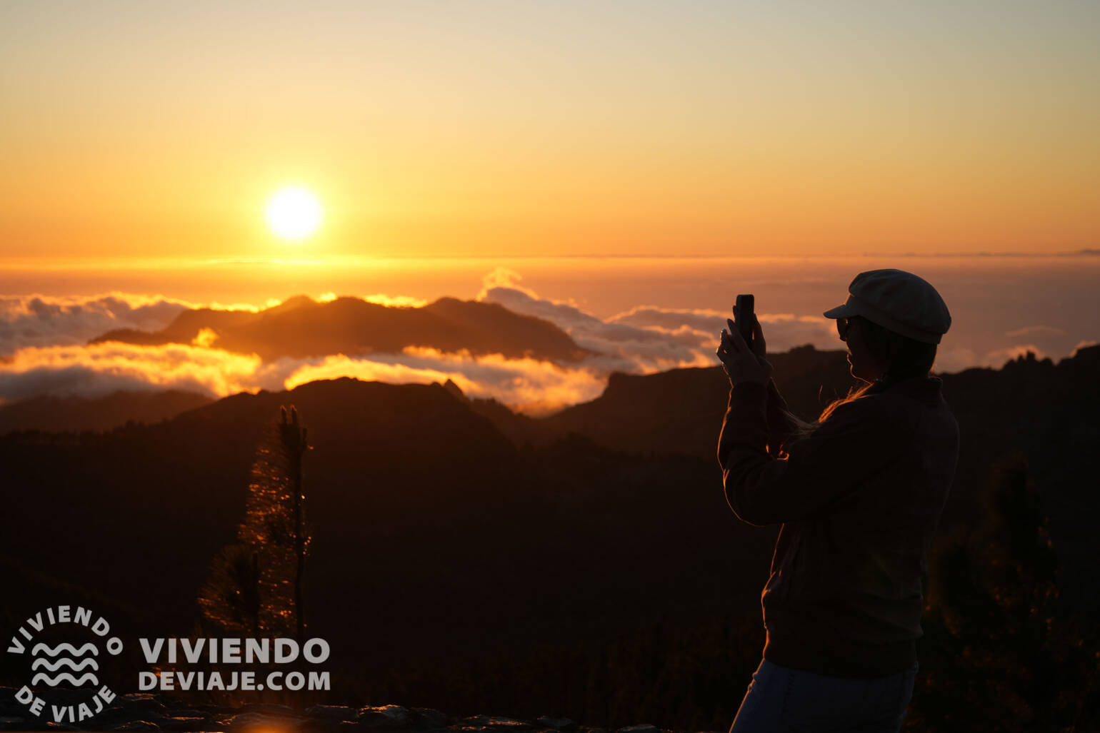 Pico de las Nieves | Gran Canaria en 5 días