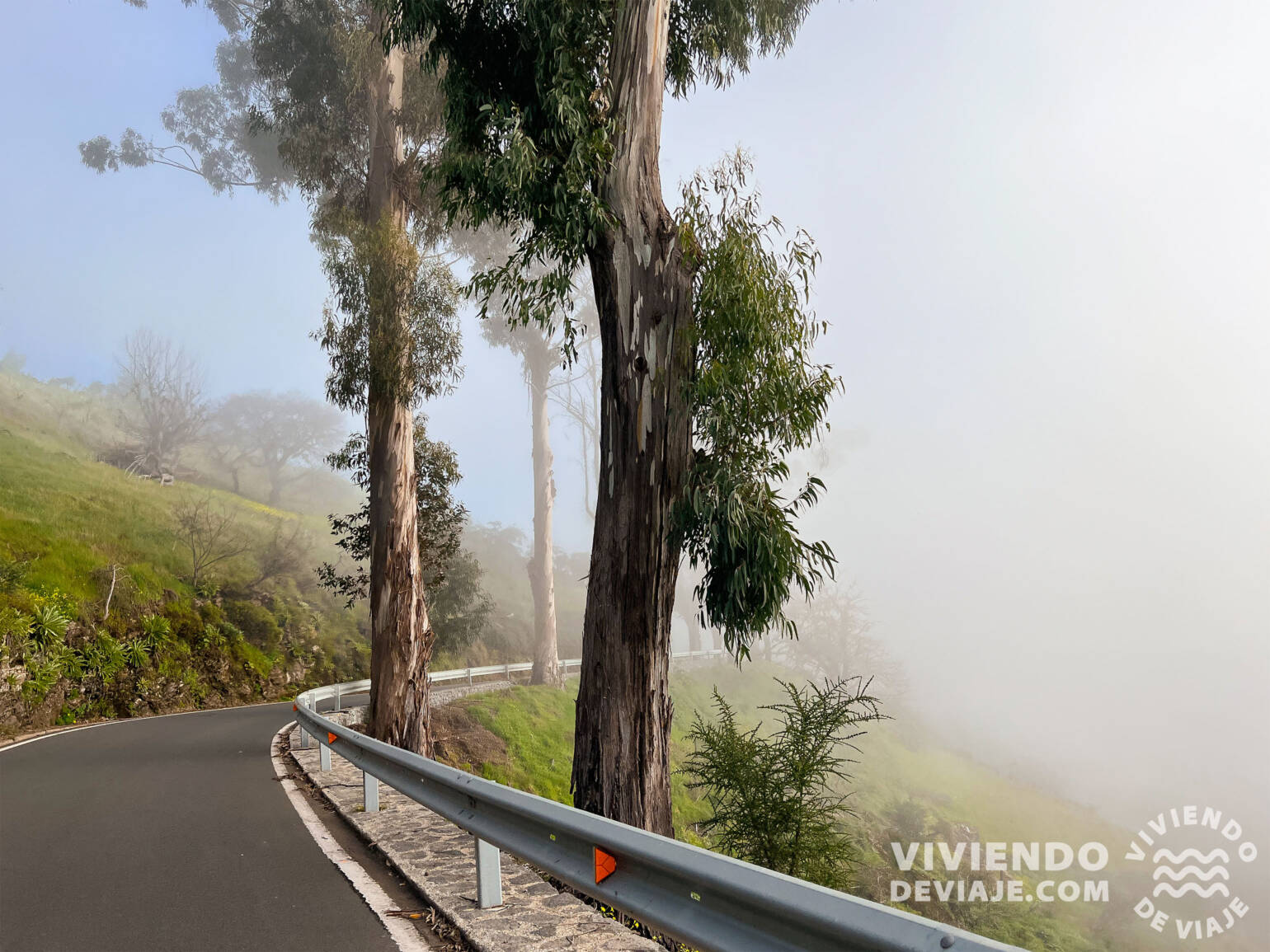 Carretera hasta Teror