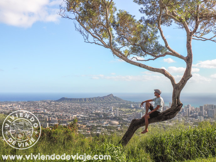 Qué ver en Honolulu, mirador Tantalus