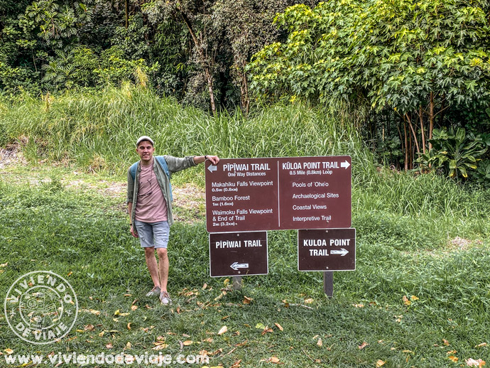 Pipiwai Trail | Carretera de Hana