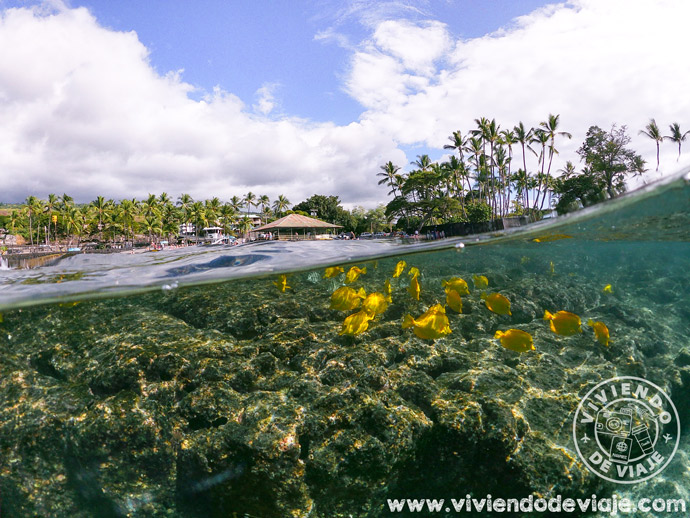 Playa de Kahalu’u en Kailua-Kona | Dónde alojarse en Big Island