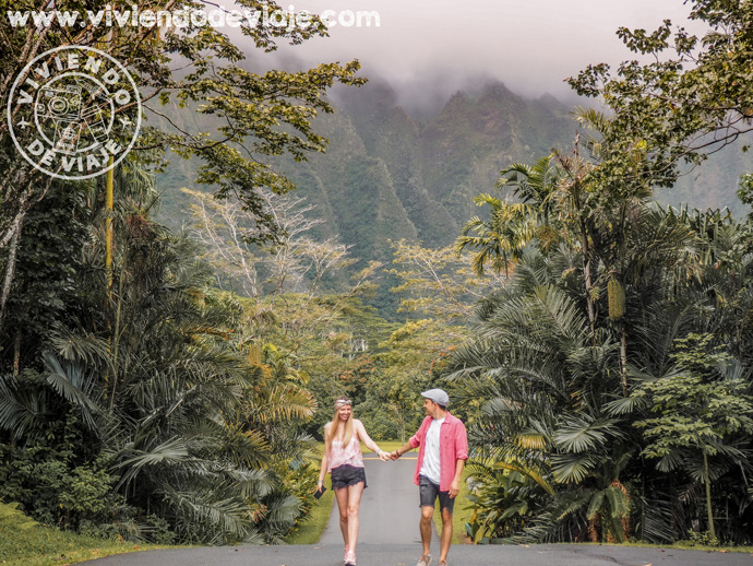 Jardín Botánico Ho'omaluhia | Viaje a Hawaii
