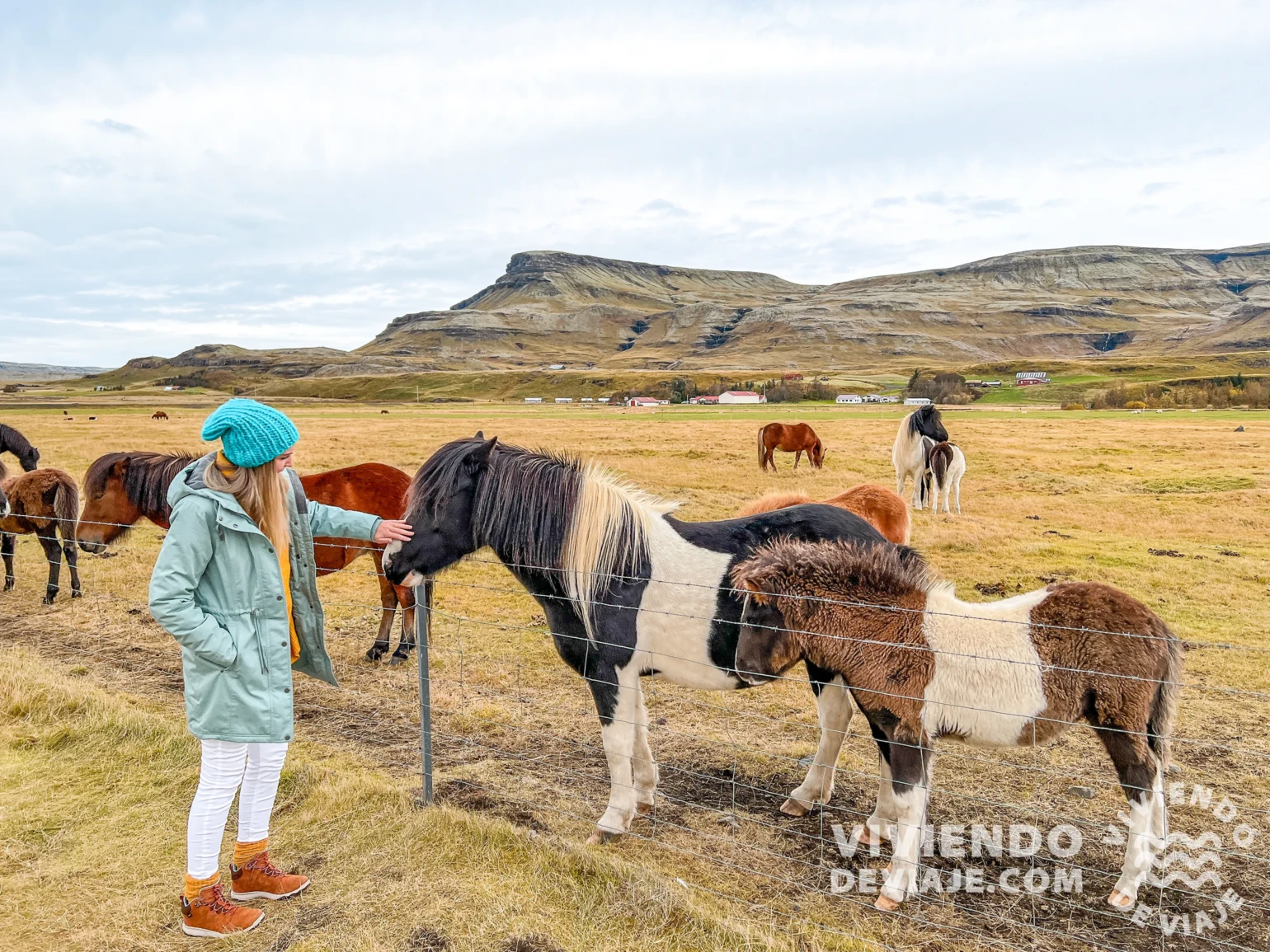 Curiosidades de Islandia