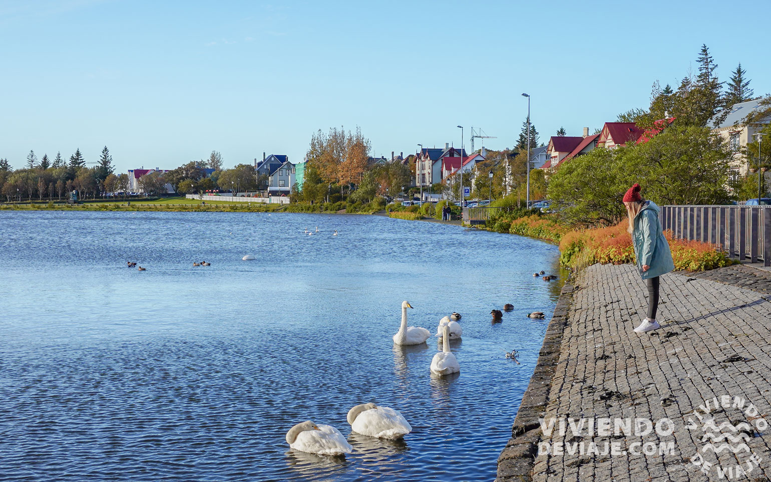 Qué ver en el sur de Islandia - Reikiavik