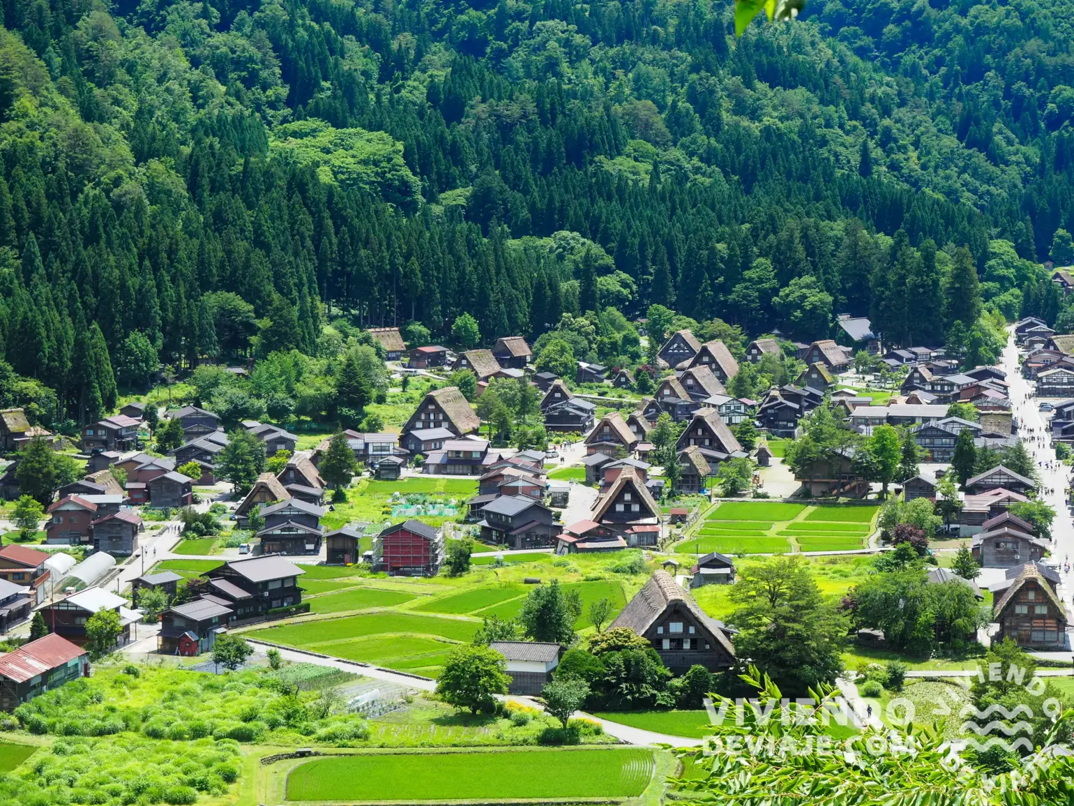 Viaje a Japón | Shirakawago