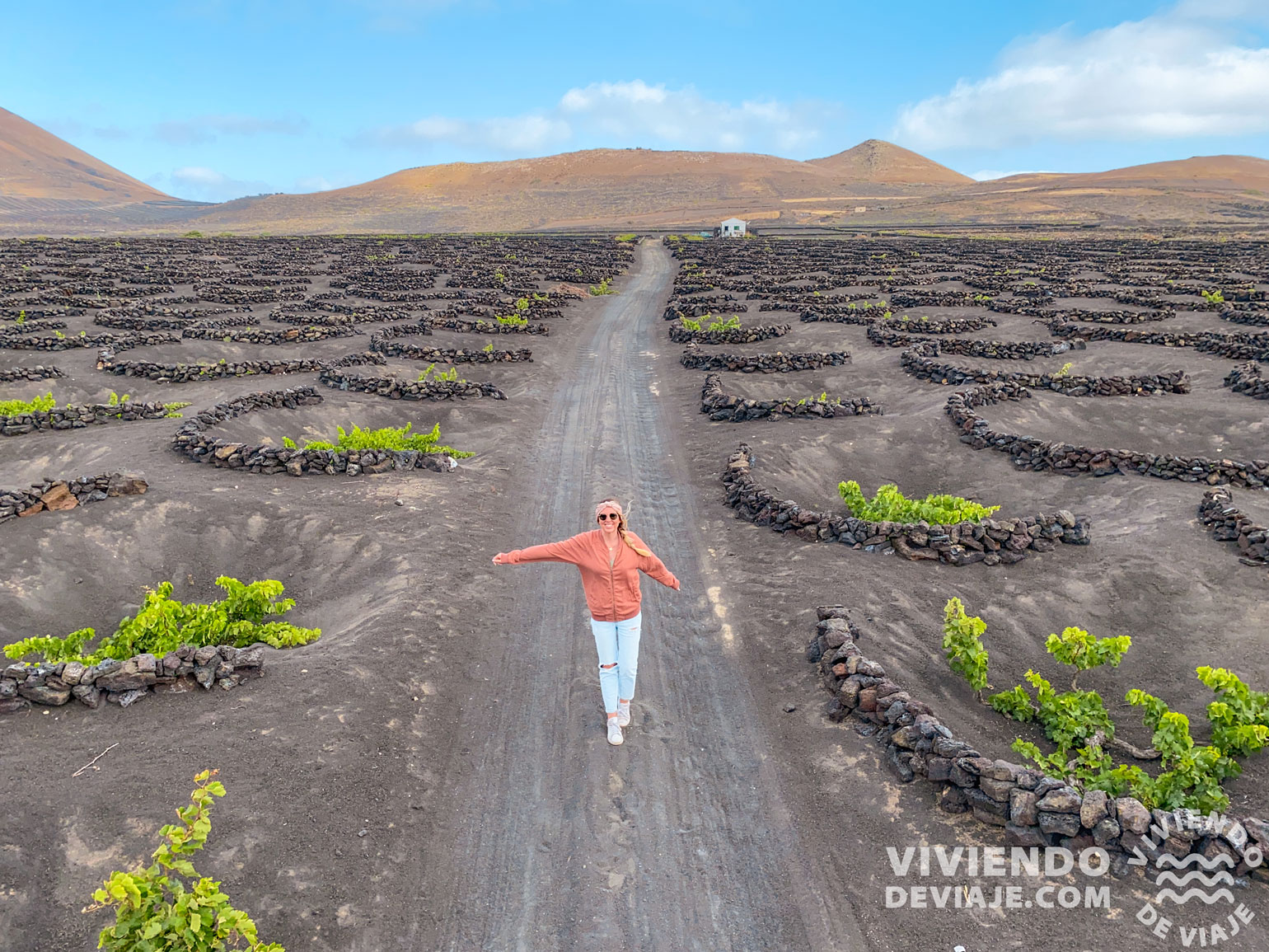 Bodegas y viñedos en Lanzarote