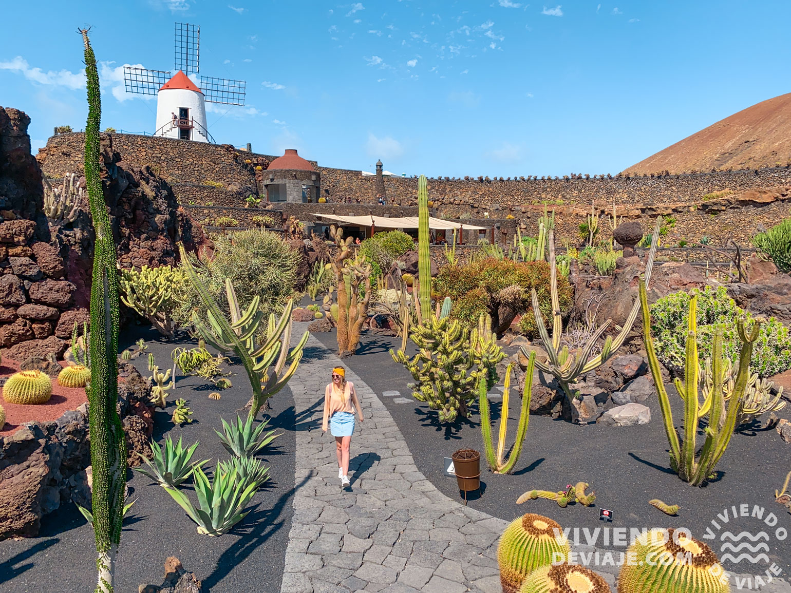 Jardín del Cactus, un imprescindible que ver en Lanzarote