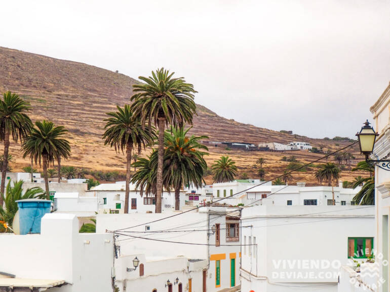 Haría en Lanzarote