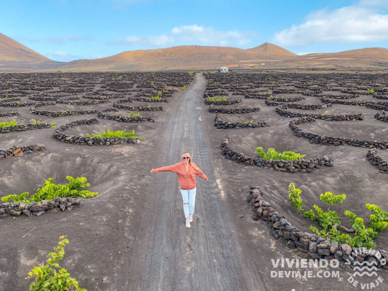 Viñedos en Lanzarote