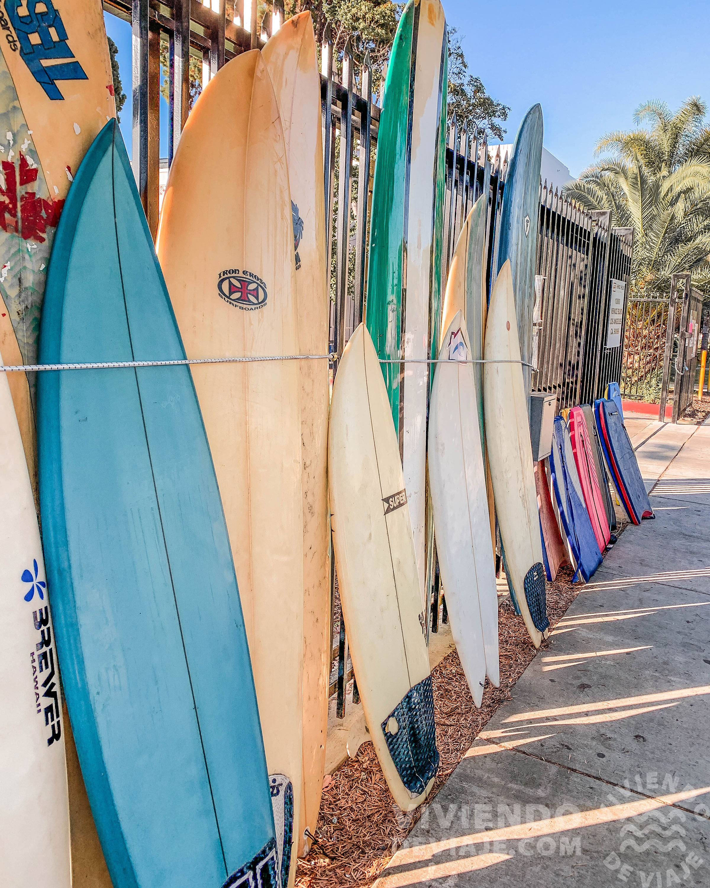 Practicar surf en la playa de Santa Mónica