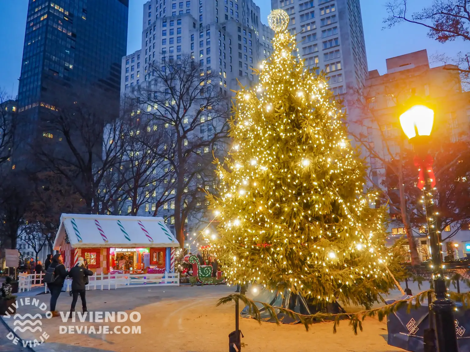 Árbol de Navidad en Madison Square Park | Nueva York en Navidad