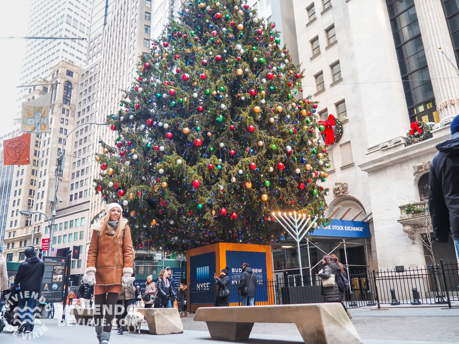 Árbol de Navidad de Wall Street | Nueva York