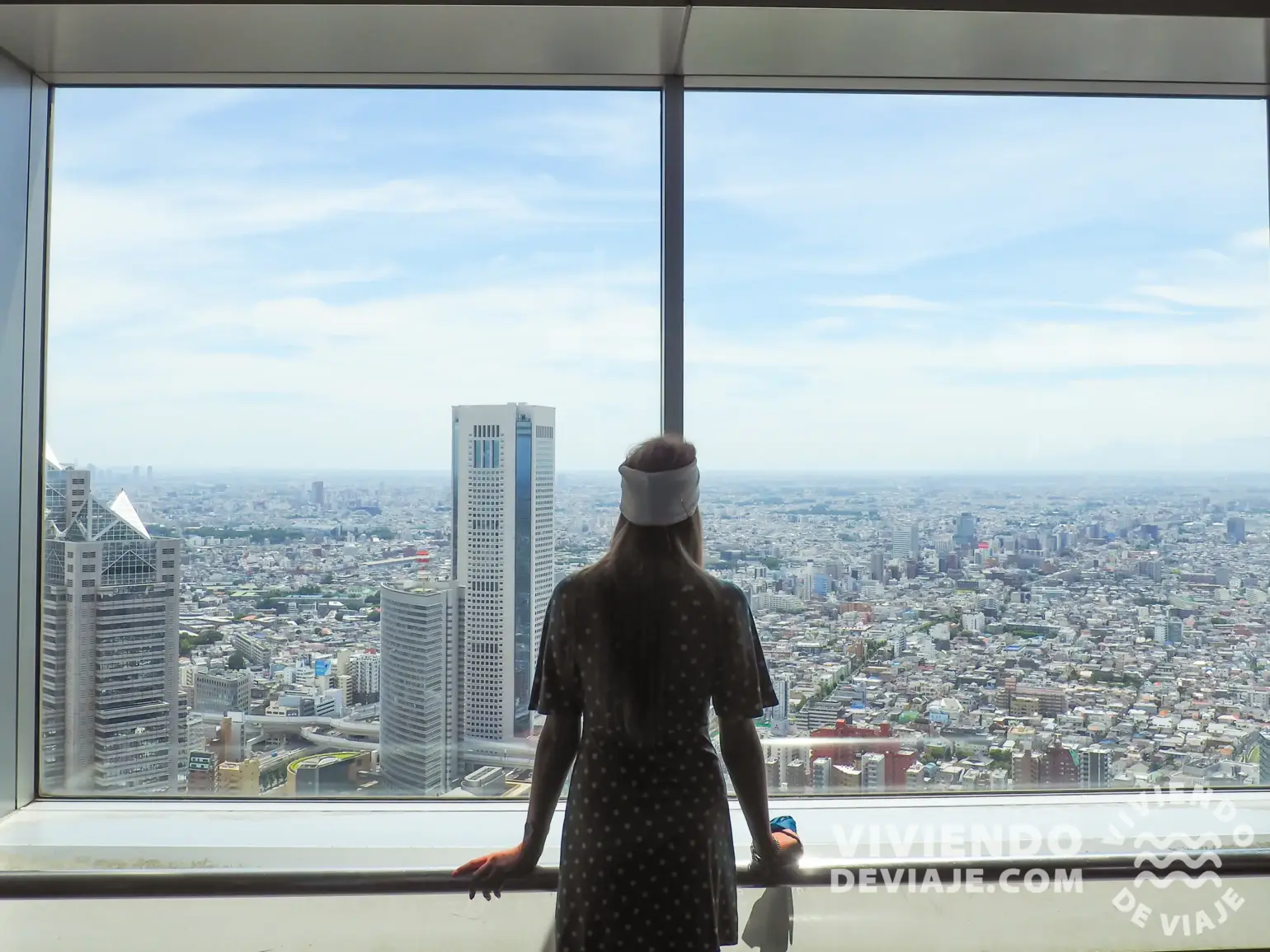 Barrio de Shinjuku | Vistas gratuitas desde el ayuntamiento de Tokio