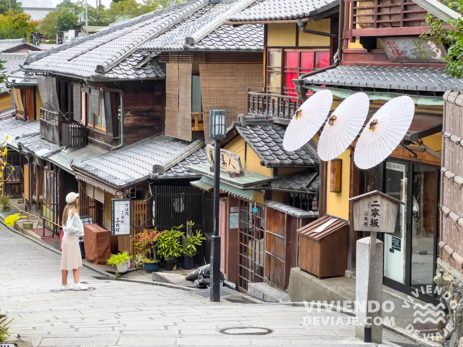 Japan Rail Pass para una ruta de 15 días en Japón