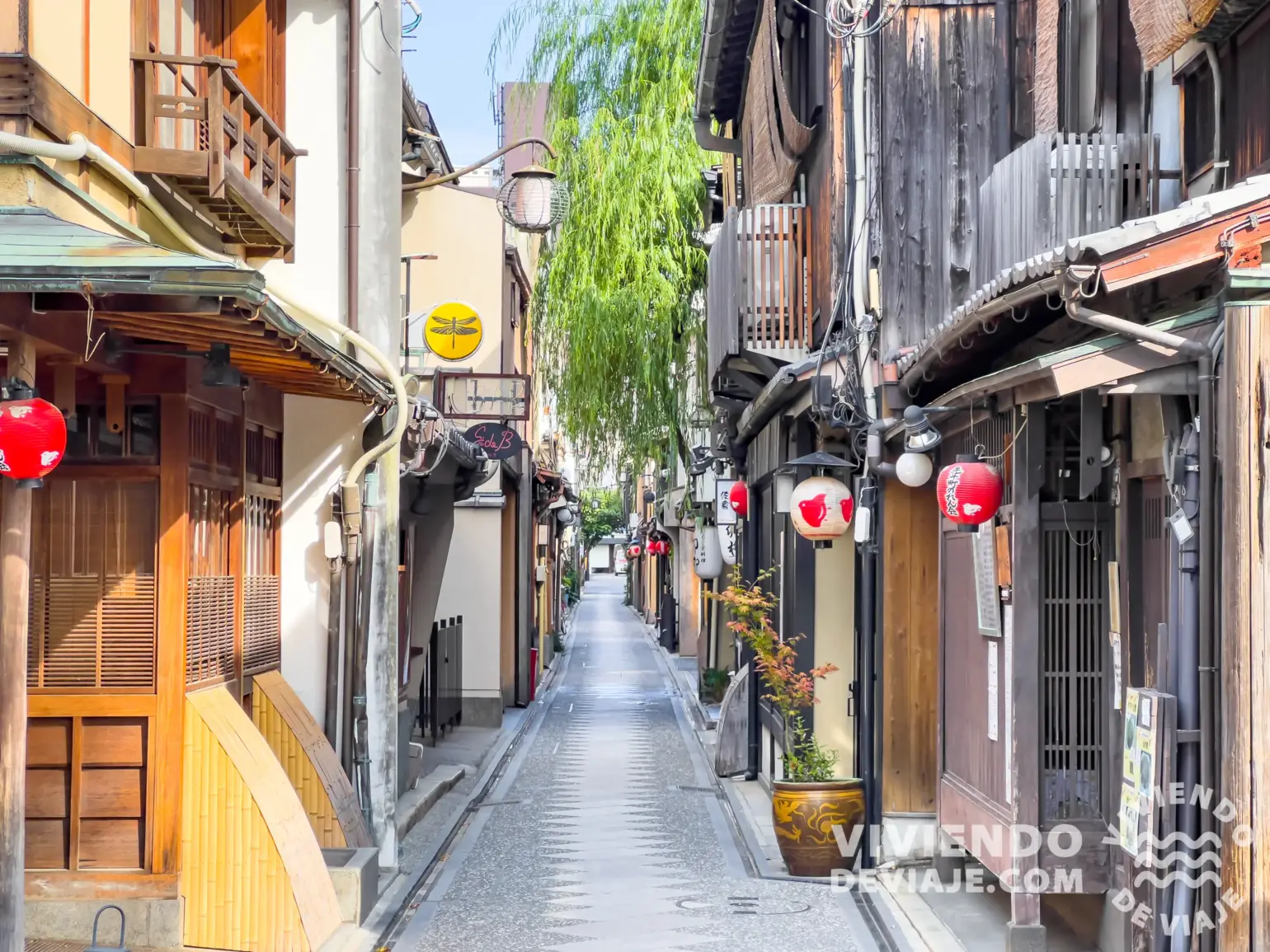 Calle Pontocho | Kioto en 3 días