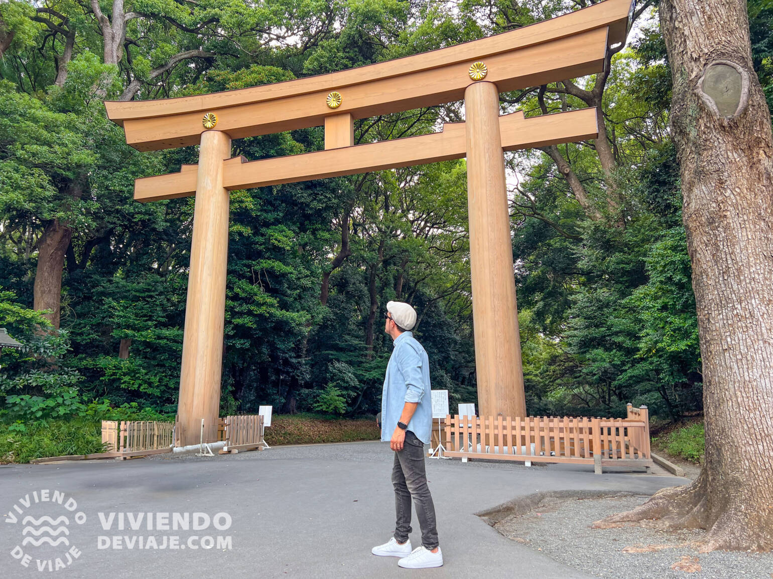 Curiosidades de Japón