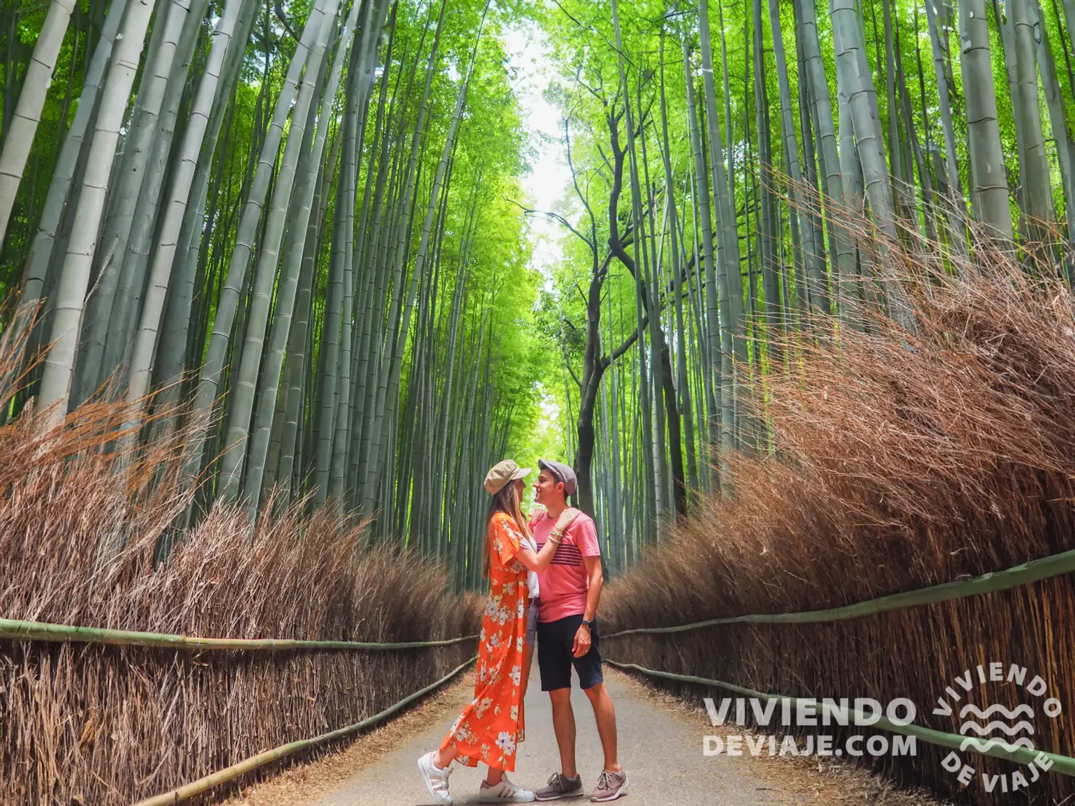 Bosque de bambú de Arashiyama