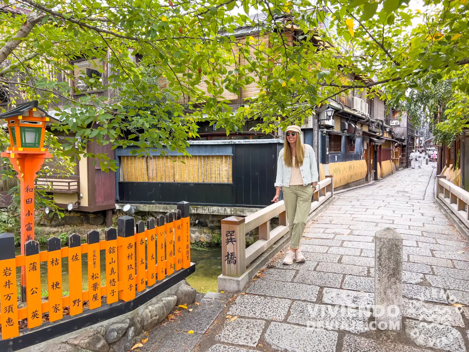 Cerca de la calle Shirakawa | Kioto en 3 días