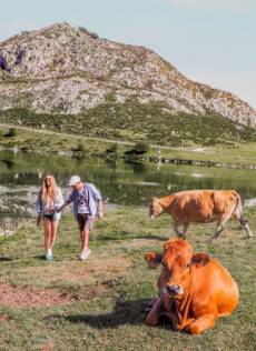 RUTA POR ASTURIAS - GUÍA DE VIAJE