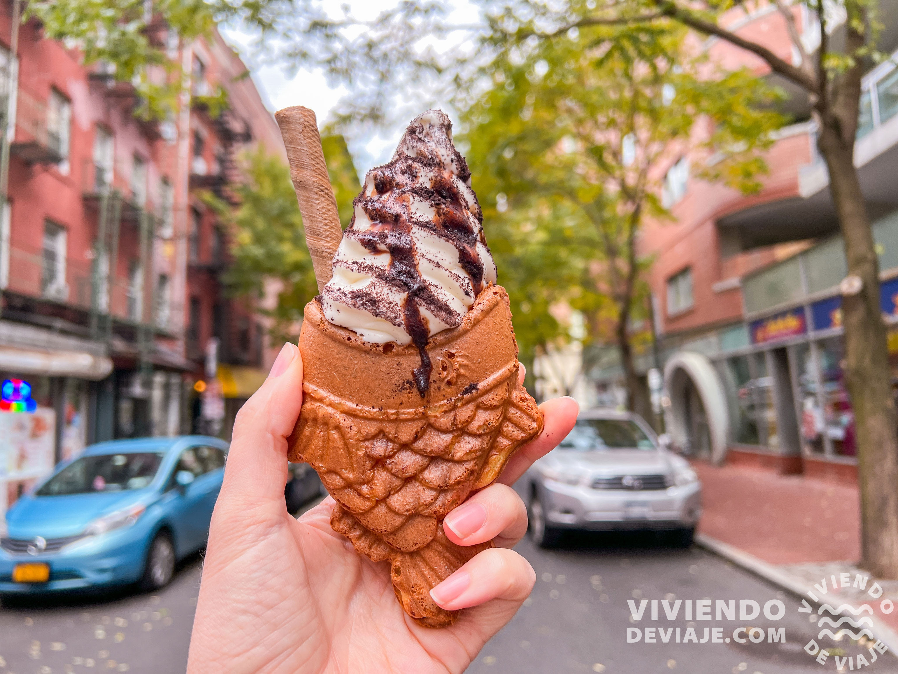 Taiyaki NYC