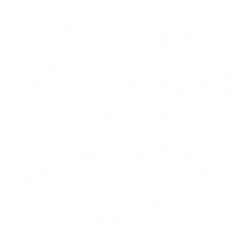 logo Viviendo de Viaje