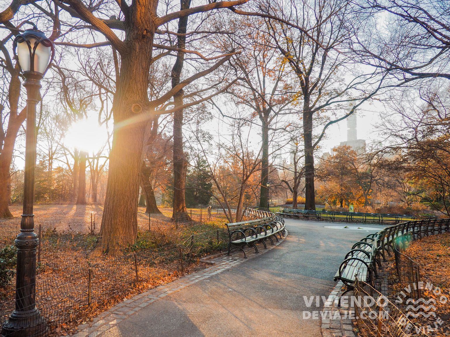 Central Park al amanecer