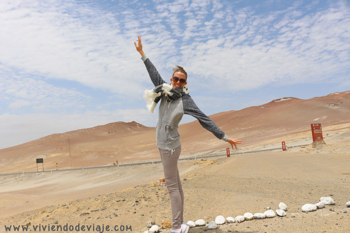 Reserva Nacional, Paracas