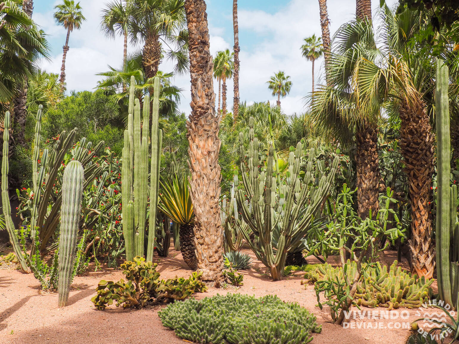 Alojarse en el Palmeral de Marrakech