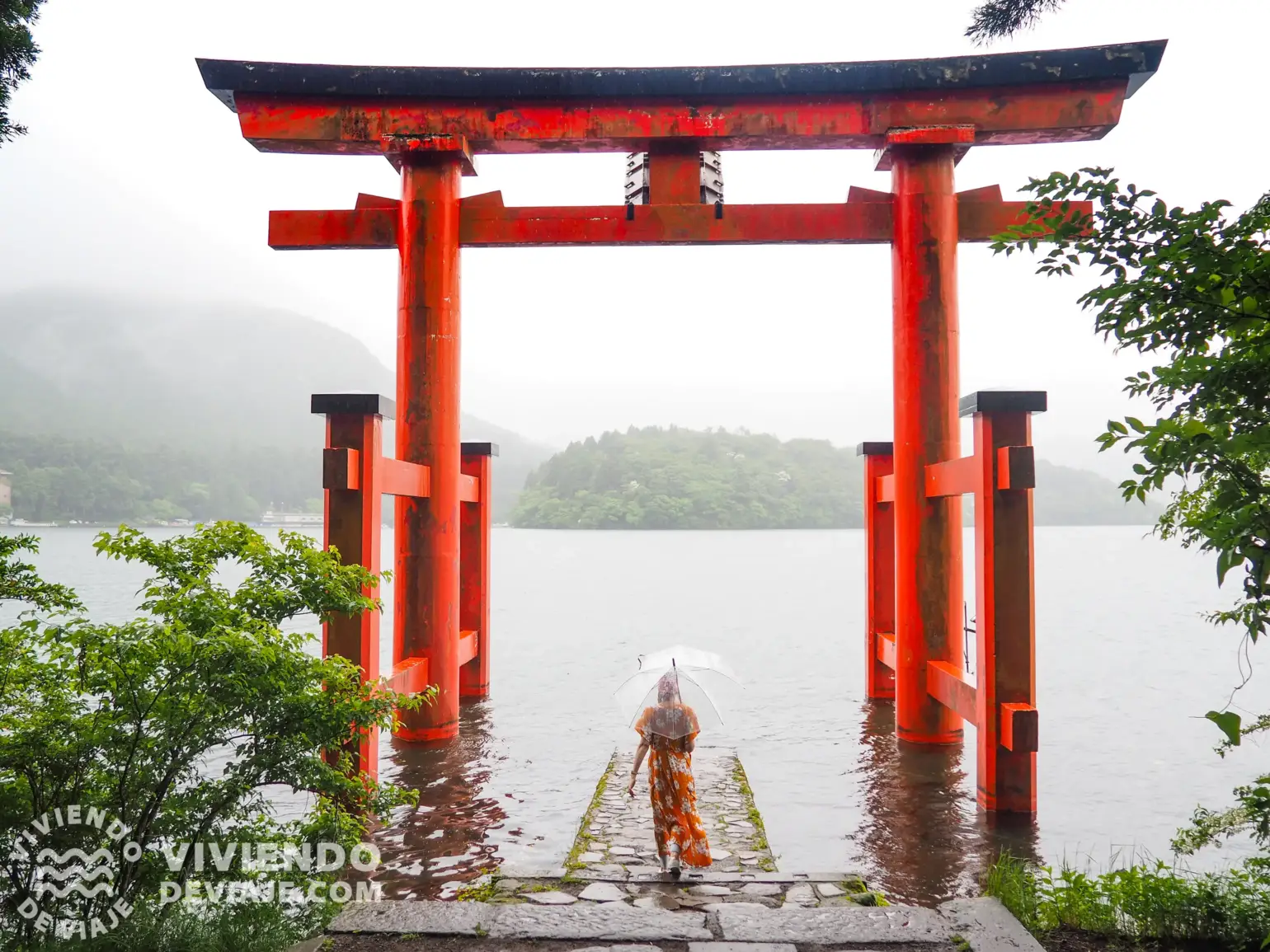 Japón en 15 días | Torii de Hakone