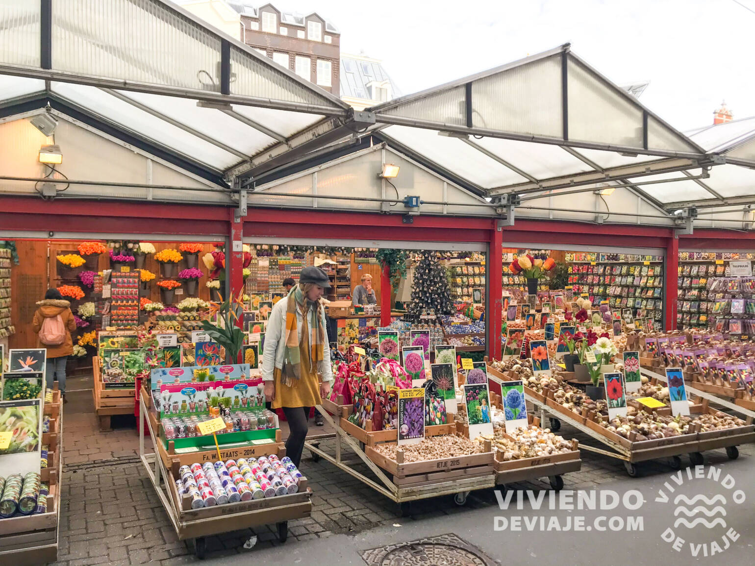 Mercado de las Flores | Qué ver en Ámsterdam en 4 días