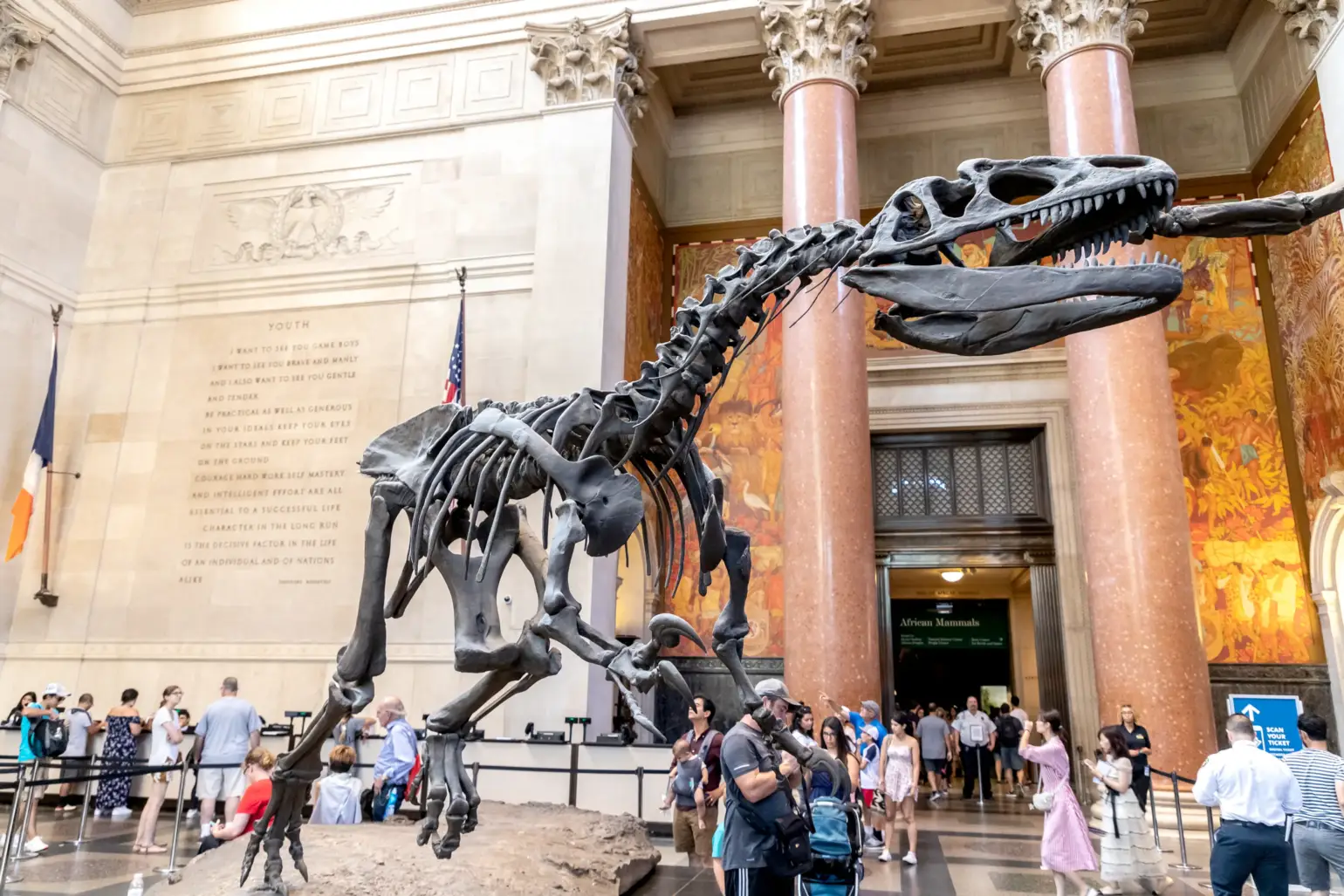 Museo de Historia Natural de Nueva York