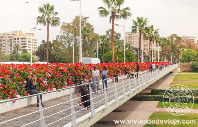 Puente de las Flores de Valencia