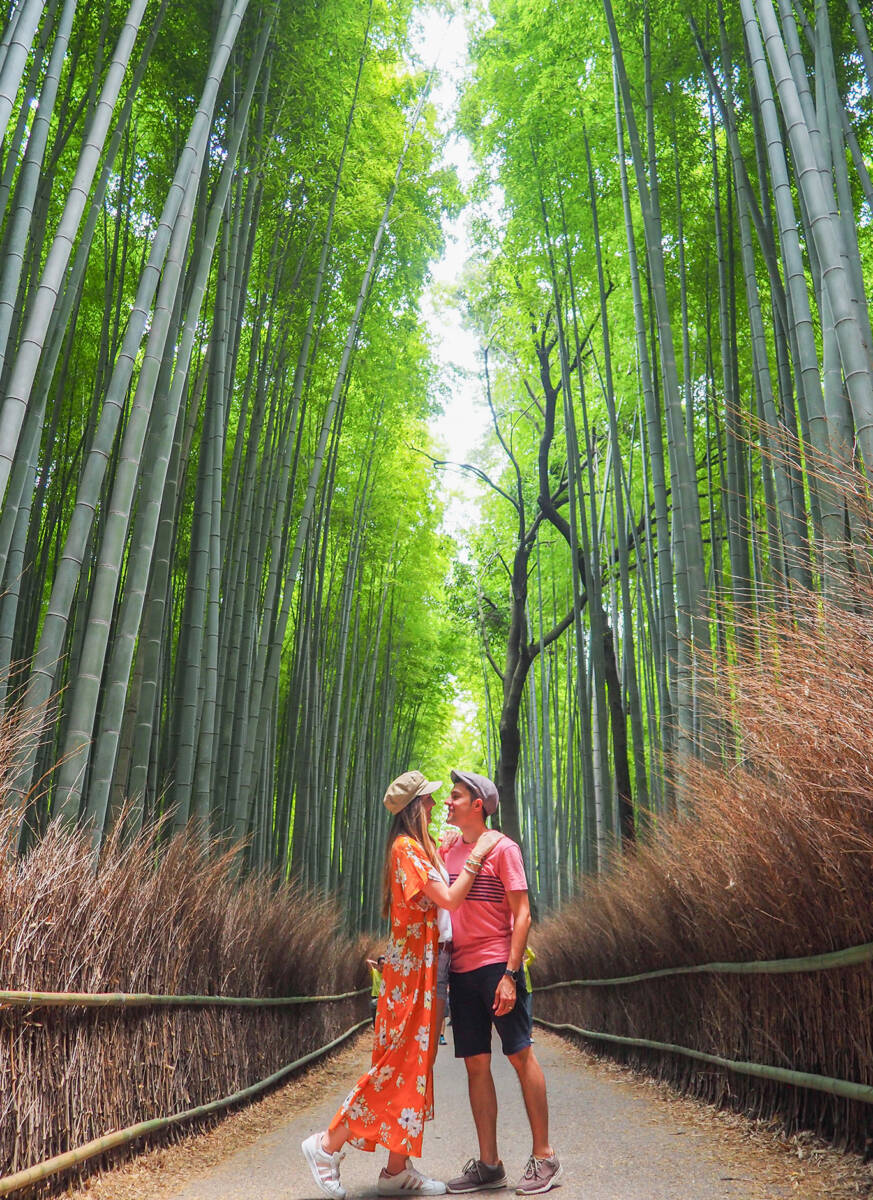 Ruta por Japón en 15 días | GUÍA COMPLETA | Viviendo de Viaje