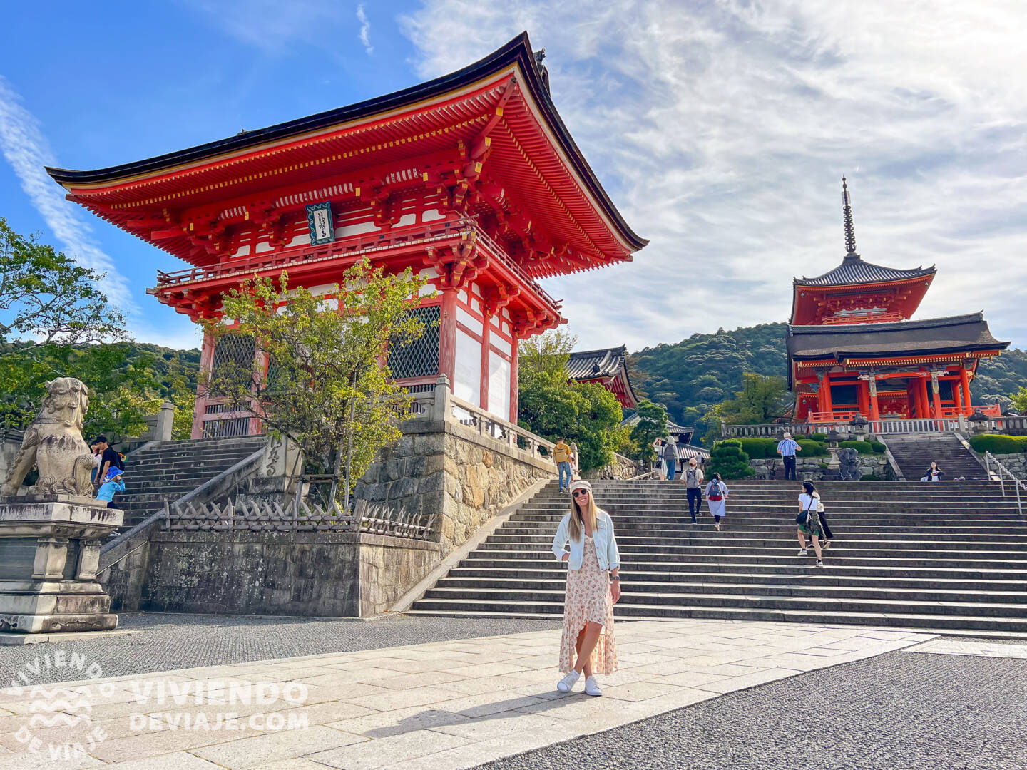 Ruta por Japón en 15 días | GUÍA COMPLETA | Viviendo de Viaje